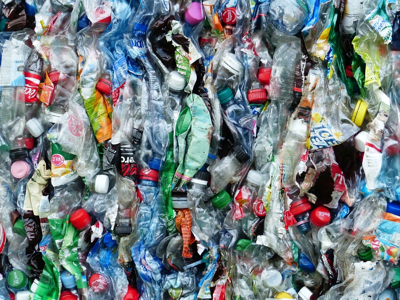 Réduire son impact environnemental grâce à des gestes accessibles à tous